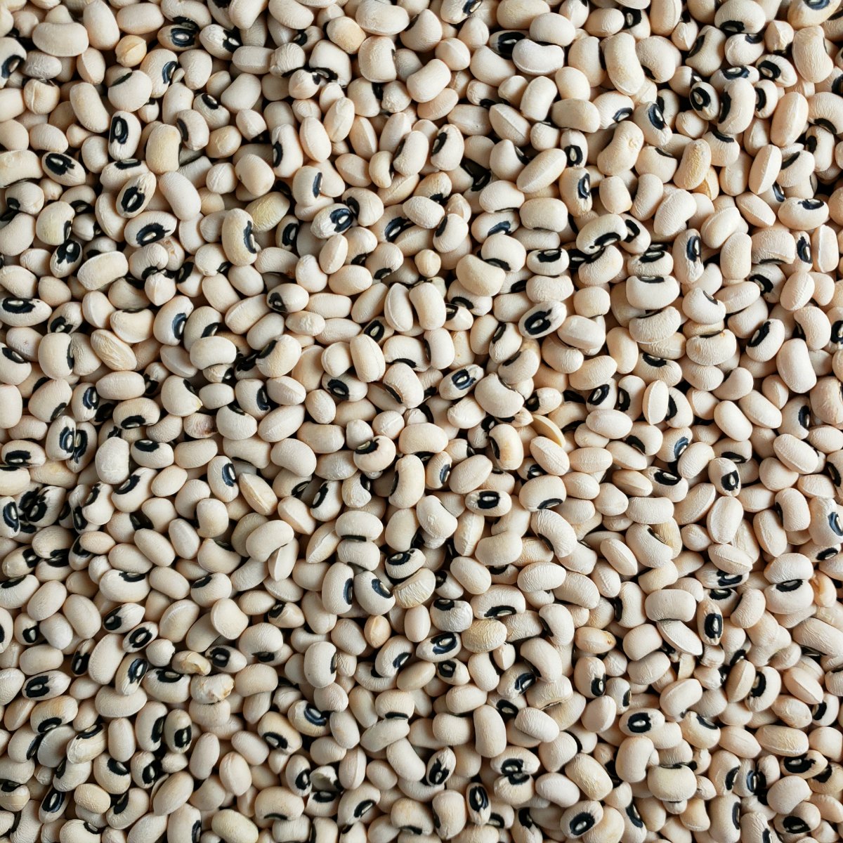 Black Eye Beans 2lb