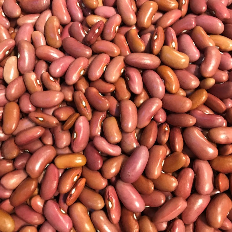 Rajmah Light (Red Kidney Beans) 4lb