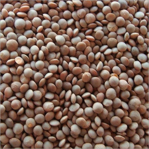 Masoor Whole 2Lb