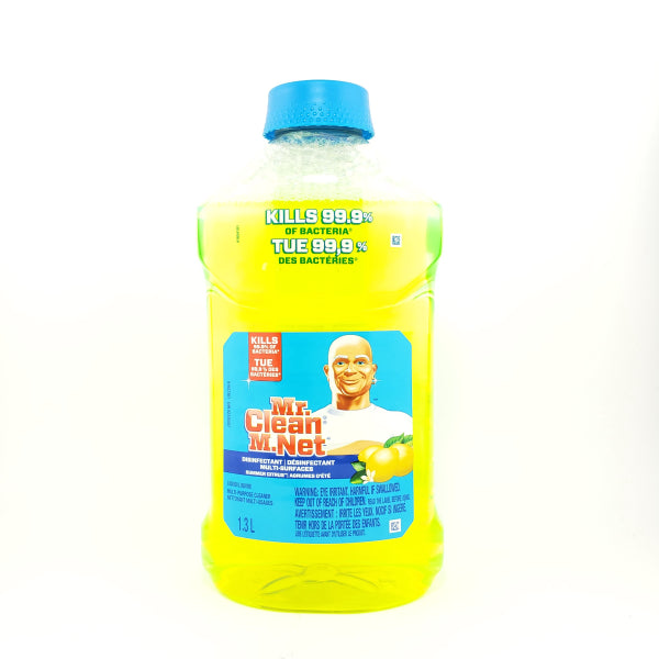 Indian Grocery Store -Mr.Clean Disinfectant All Purpose Cleaner