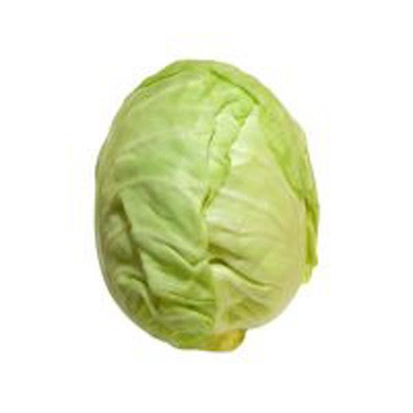 Indian Grocery Store - Cartly - Cabbage