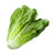 Lettuce Bunch - Cartly - India Grocery Store - Cartly