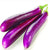 Long Eggplant - Indian Grocery Store - Cartly