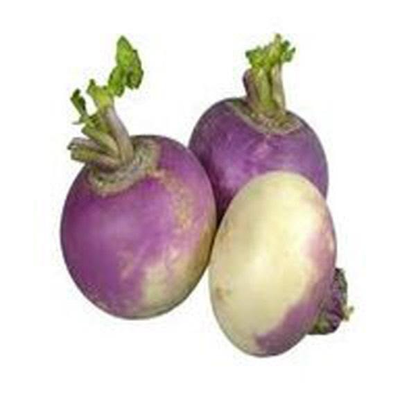 Indian Grocery Store - Cartly - Turnips
