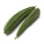 Chinese Okra - Indian Grocery Delivery - Cartly