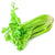 Fresh Celery Bunch - Cartly - Grocery Delivery Toronto