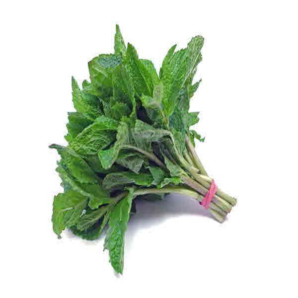 Indian Grocery Delivery - Mint (Pudina) Bunch - Cartly
