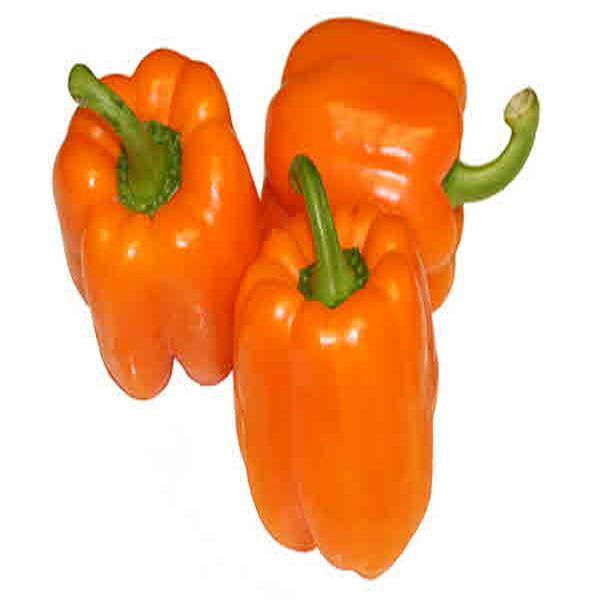 Orange Pepper - Indian Grocery Store - Cartly
