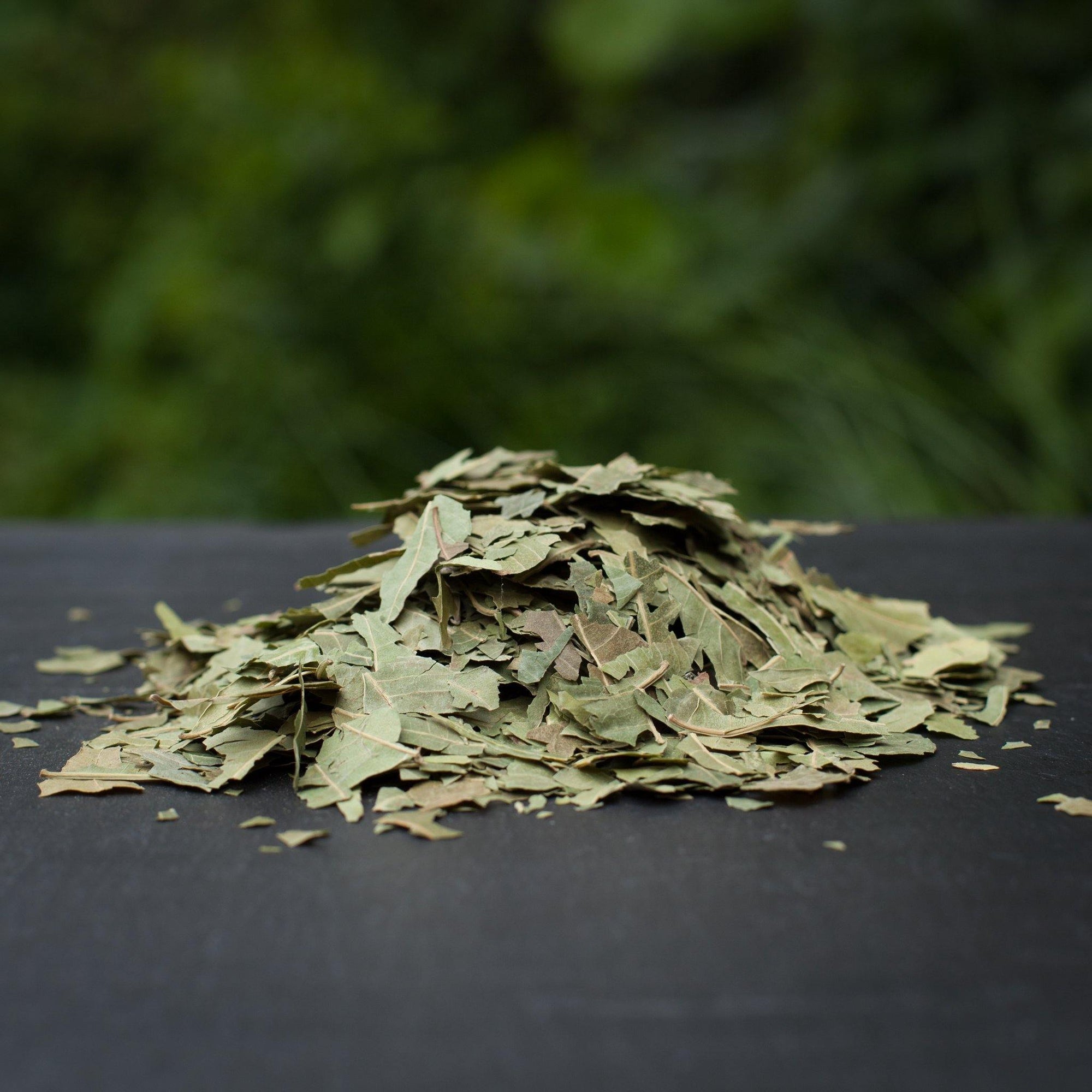 PTI Neem Leaves 25g - Cartly - Indian Grocery Store