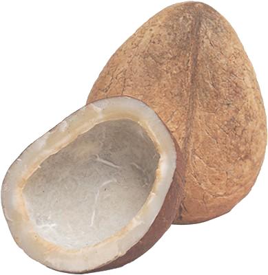 DRY COCONUT WHOLE EACH